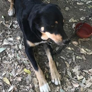 Meet your Posher, Mali